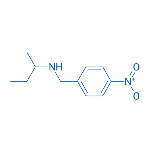 (Butan-2-yl)[(4-nitrophenyl)methyl]amine 1g