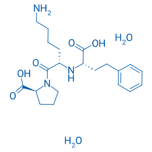 Lisinopril Dihydrate 1g