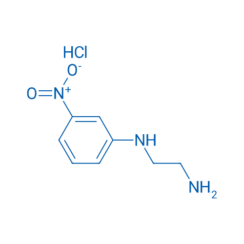N1-(3-Nitrophenyl)ethane-1,2-diamine hydrochloride 1g