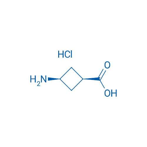 cis-3-Aminocyclobutanecarboxylic acid hydrochloride 5g