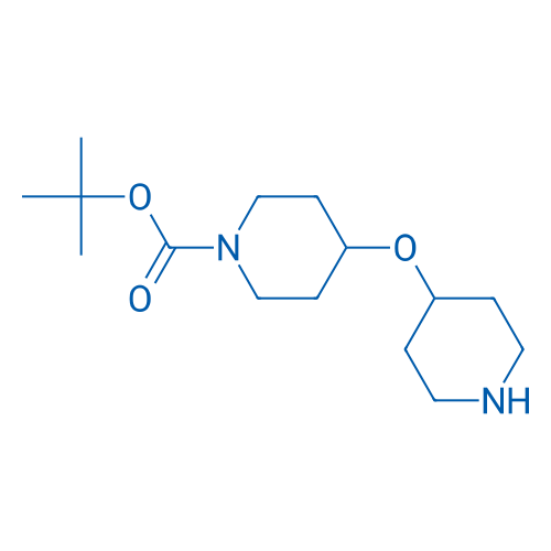 4-[(Piperidin-4-yl)oxy]piperidine-1-carboxylic acid tert-butyl ester 1g