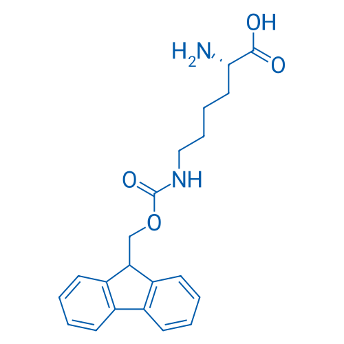 H-Lys(Fmoc)-OH 25g