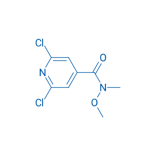 2,6-Dichloro-N-methoxy-N-methylisonicotinamide 250mg