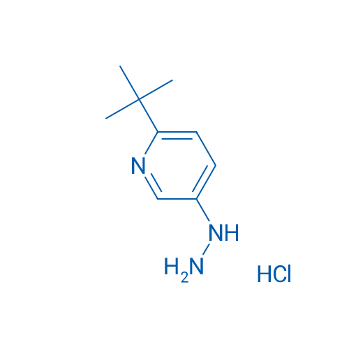 2-(tert-Butyl)-5-hydrazinylpyridine hydrochloride 1g