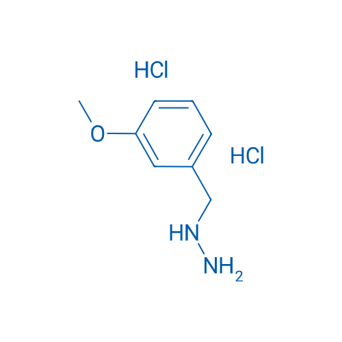 (3-Methoxybenzyl)hydrazine dihydrochloride 1g