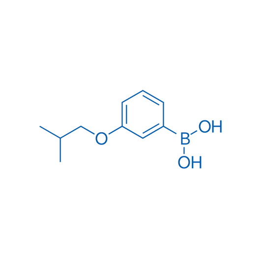 3-Isobutoxyphenylboronic acid 10g
