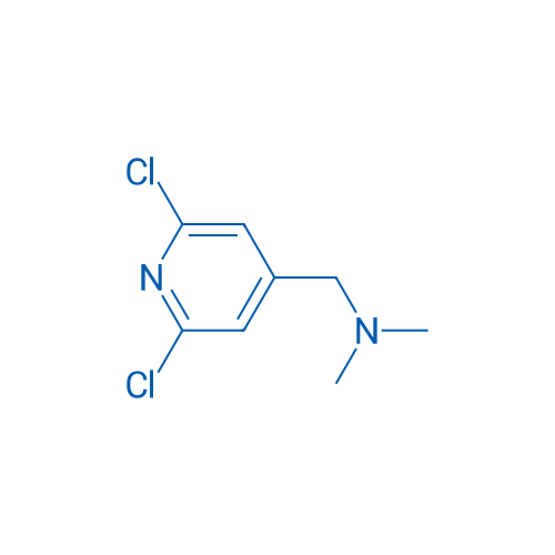 1-(2,6-Dichloropyridin-4-yl)-N,N-dimethylmethanamine 1g