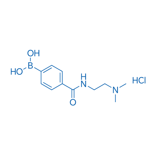 (4-((2-(Dimethylamino)ethyl)carbamoyl)phenyl)boronic acid hydrochloride 10g