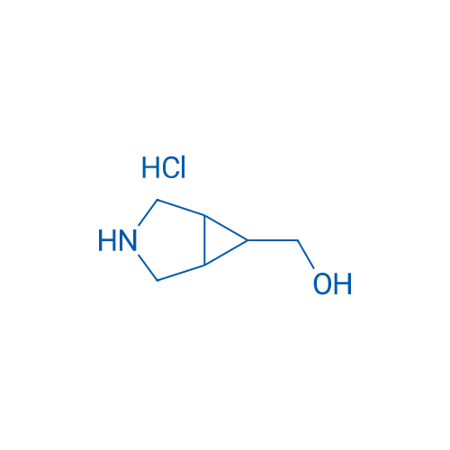 3-Azabicyclo[3.1.0]hexan-6-ylmethanol hydrochloride 1g