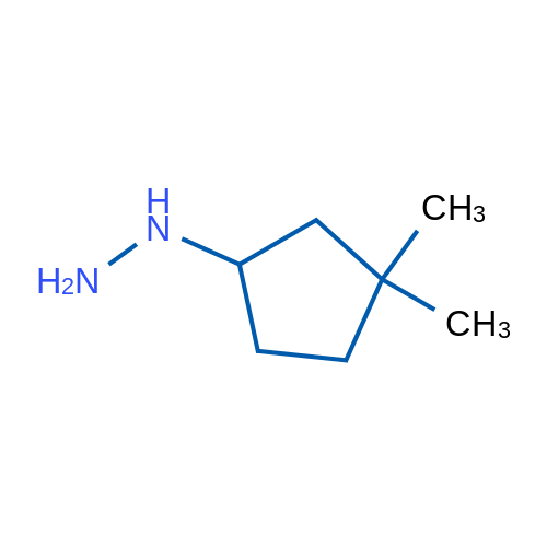(3,3-Dimethylcyclopentyl)hydrazine 1g