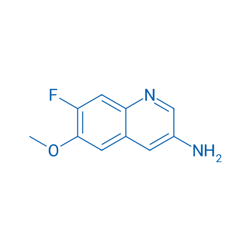 7-Fluoro-6-methoxyquinolin-3-amine 1g