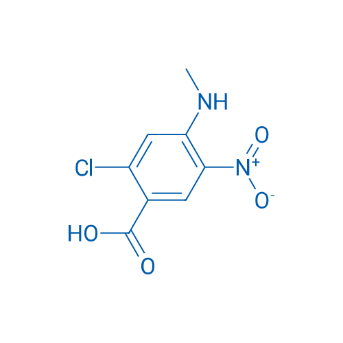 2-Chloro-4-(methylamino)-5-nitrobenzoic acid 1g