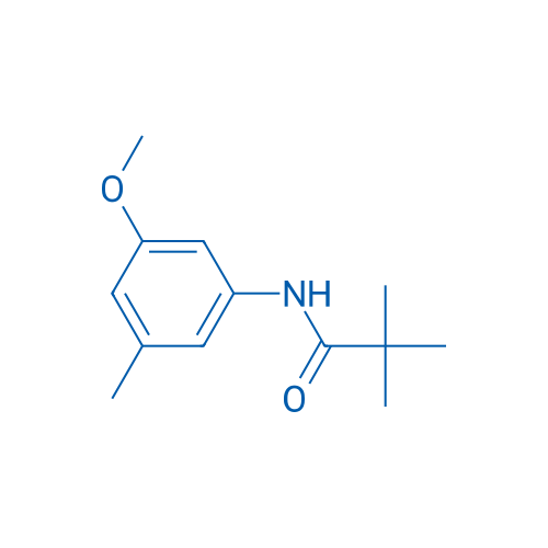 N-(3-Methoxy-5-methylphenyl)-2,2-dimethylpropanamide 1g