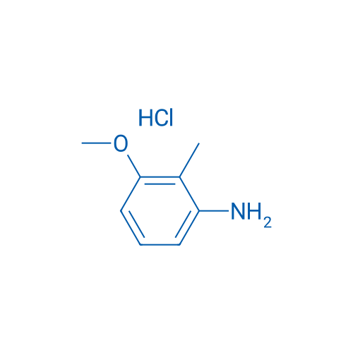 3-Methoxy-2-methylaniline hydrochloride 1g