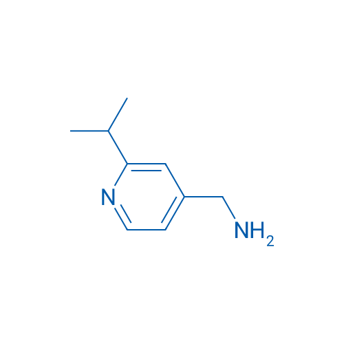 (2-Isopropylpyridin-4-yl)methanamine 1g