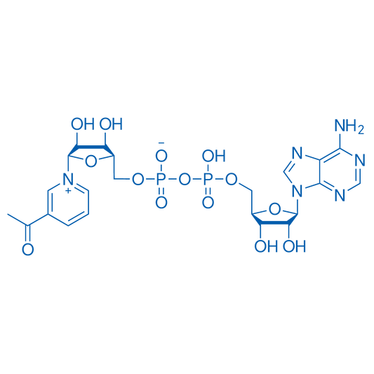 3-Acetylpyridine adenine dinucleotide 250mg