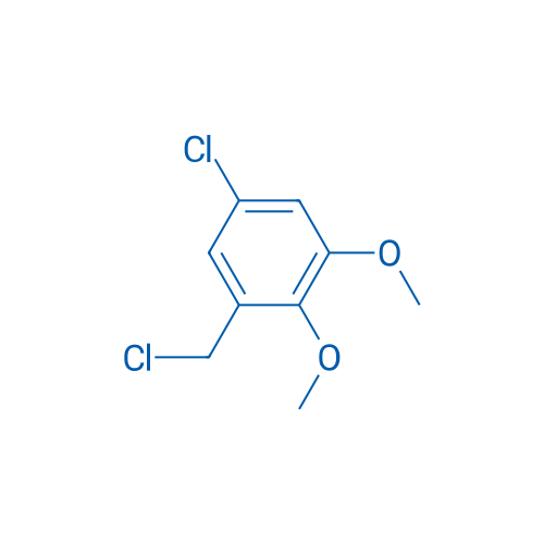 5-Chloro-1-(chloromethyl)-2,3-dimethoxybenzene 1g