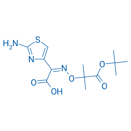 (Z)-2-(2-Aminothiazol-4-yl)-2-(((1-(tert-butoxy)-2-methyl-1-oxopropan-2-yl)oxy)imino)acetic acid 10g