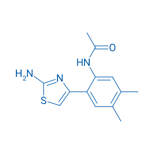 N-[2-(2-Amino-1,3-thiazol-4-yl)-4,5-dimethylphenyl]acetamide 1g