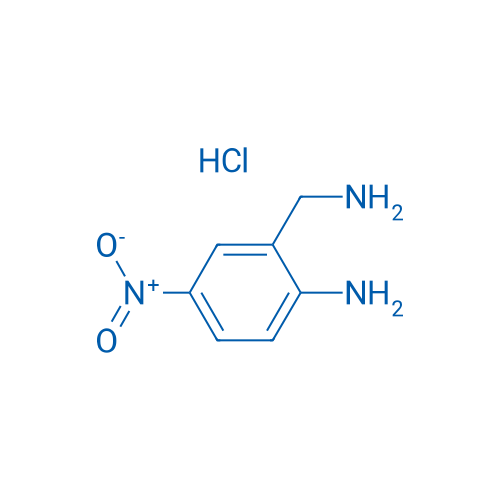 2-(Aminomethyl)-4-nitroaniline hydrochloride 1g