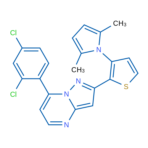 1-{2-[7-(2,4-dichlorophenyl)pyrazolo[1,5-a]pyrimidin-2-yl]thiophen-3-yl}-2,5-dimethyl-1H-pyrrole 1g