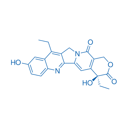 SN-38 250mg