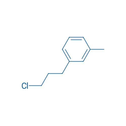 1-(3-Chloro-propyl)-3-methyl-benzene 1g