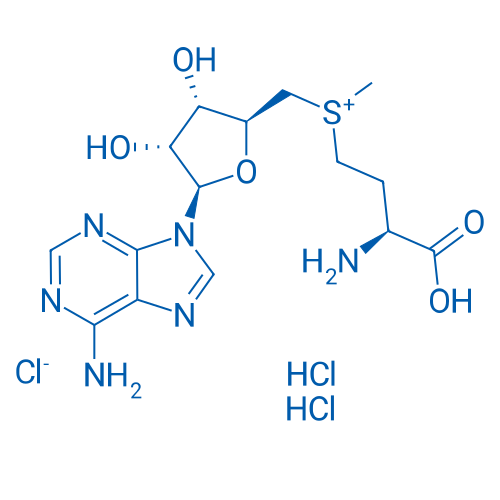 S-Adenosyl-L-methionine chloride 2HCl 250mg