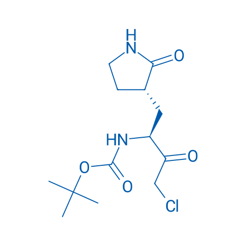 tert-Butyl ((S)-4-chloro-3-oxo-1-((S)-2-oxopyrrolidin-3-yl)butan-2-yl)carbamate 50mg