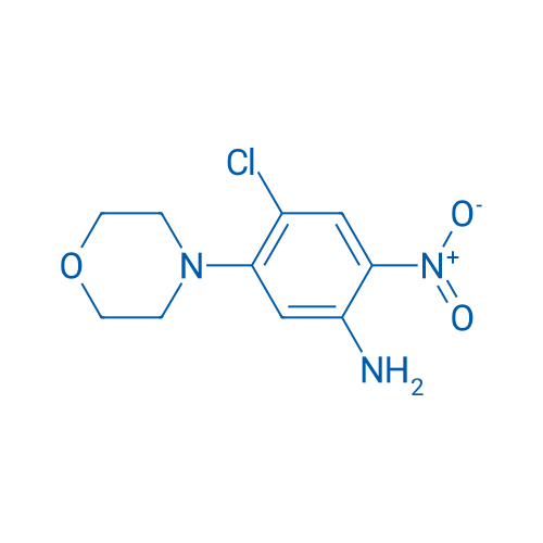 4-Chloro-5-(morpholin-4-yl)-2-nitroaniline 1g