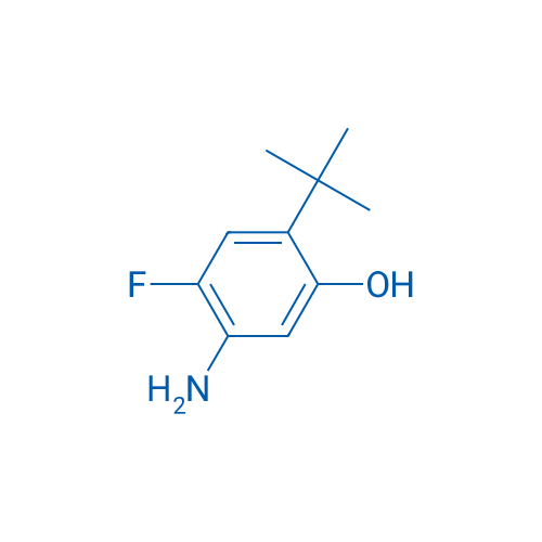 5-Amino-2-(tert-butyl)-4-fluorophenol 1g