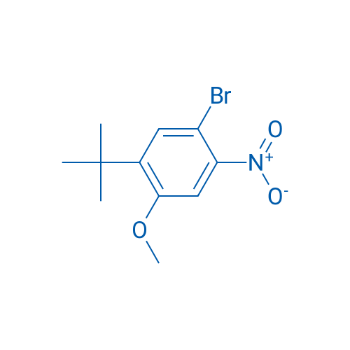 1-Bromo-5-(tert-butyl)-4-methoxy-2-nitrobenzene 250mg