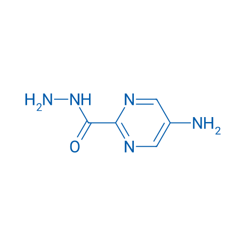 5-Aminopyrimidine-2-carbohydrazide 1g