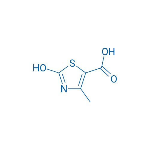 2-Hydroxy-4-methylthiazole-5-carboxylic acid 250mg