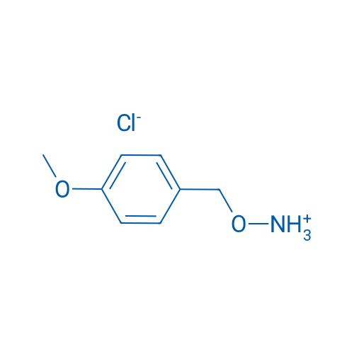 O-(4-Methoxybenzyl)hydroxylamine hydrochloride 5g