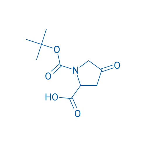 Boc-DL-4-oxo-Pro-OH 25g