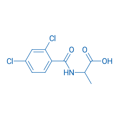 2-[(2,4-Dichlorophenyl)formamido]propanoic acid 1g