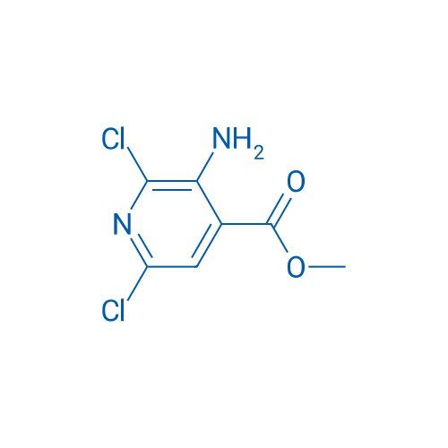 Methyl 3-amino-2,6-dichloroisonicotinate 250mg