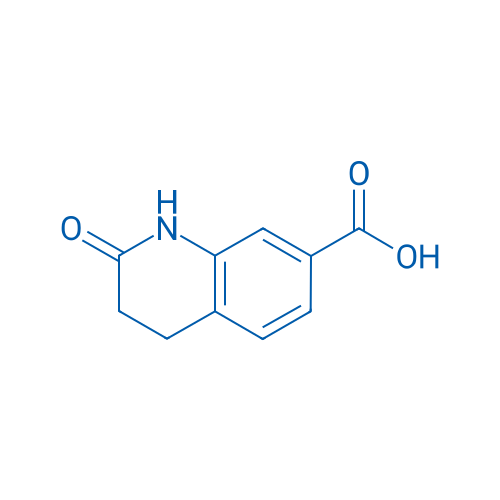 2-Oxo-1,2,3,4-tetrahydroquinoline-7-carboxylic acid 250mg