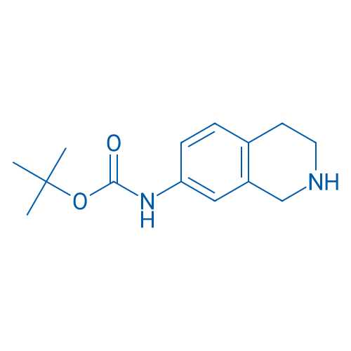 tert-Butyl (1,2,3,4-tetrahydroisoquinolin-7-yl)carbamate 250mg