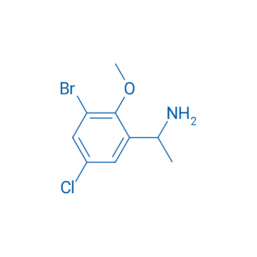 1-(3-Bromo-5-chloro-2-methoxyphenyl)ethan-1-amine 1g