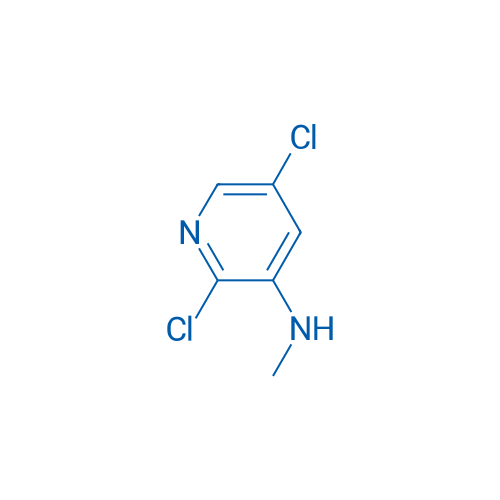 2,5-Dichloro-N-methylpyridin-3-amine 25g