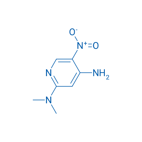 N2,N2-Dimethyl-5-nitropyridine-2,4-diamine 1g