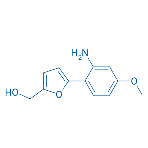 (5-(2-Amino-4-methoxyphenyl)furan-2-yl)methanol 1g