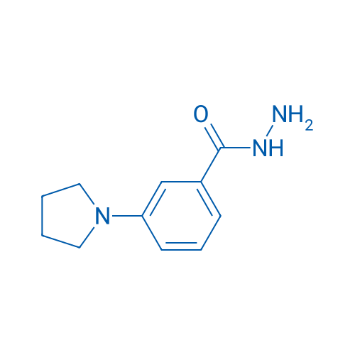 3-(Pyrrolidin-1-yl)benzohydrazide 1g