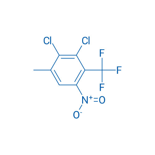 2,3-Dichloro-1-methyl-5-nitro-4-(trifluoromethyl)benzene 1g