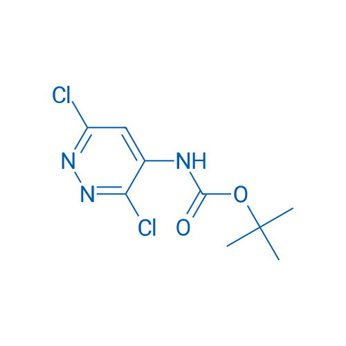 tert-Butyl (3,6-dichloropyridazin-4-yl)carbamate 10g
