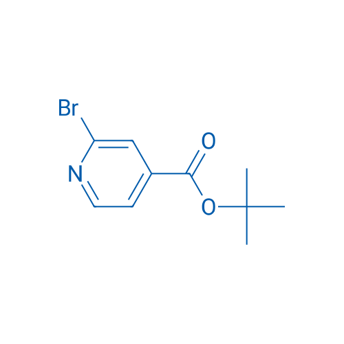tert-Butyl 2-bromoisonicotinate 250mg