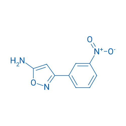 3-(3-Nitrophenyl)isoxazol-5-amine 10g