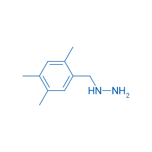 (2,4,5-Trimethylbenzyl)hydrazine 1g